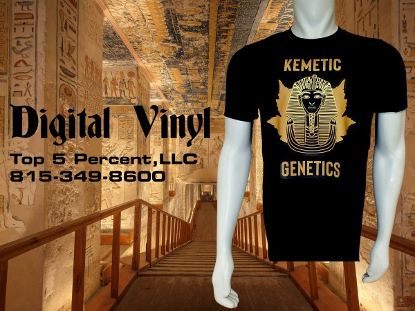Custom digital vinyl t-shirts with full color artwork in Joliet Illinois